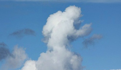 This is really what Cloud-RAN means, right?