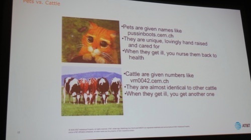 Tom Anschutz, distinguished member of the AT&T Inc. technical staff, explained that we treat our networking equipment like pets, when we should treat them like cattle.