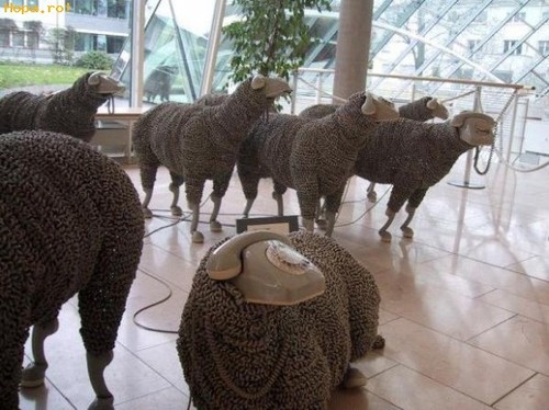 Rotary phone sheep sculptures by Jean Luc Cornec, exhibited at the Museum of Communications in Frankfurt. You can find more photos here.