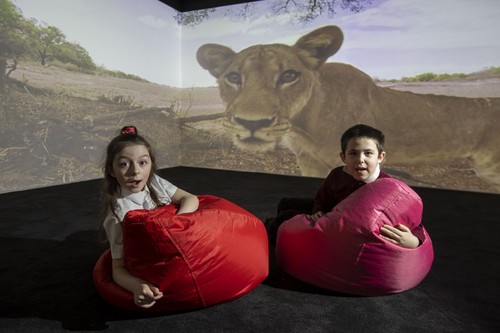 More fun than algebra: Kids in Scotland enjoy the immersive learning experience.