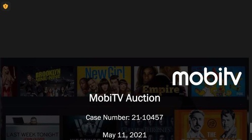 Auction participants and observers spent many hours on Zoom and gazing into a screen like this during the lengthy MobiTV auction process. 