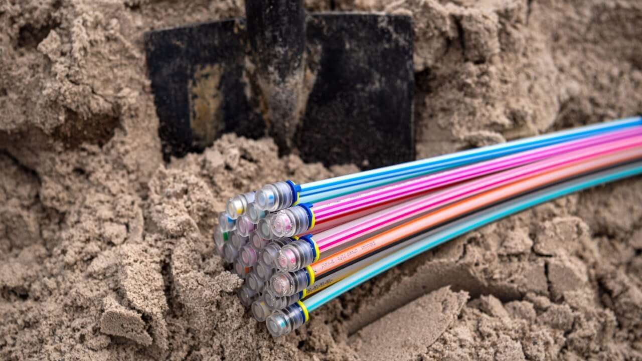 (Source: dpa picture alliance/Alamy Stock Photo)