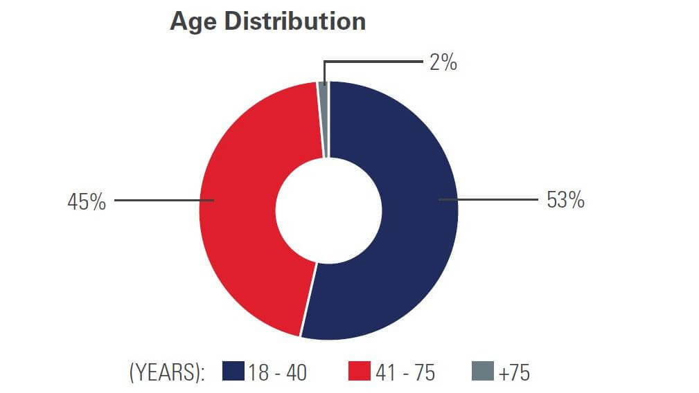 Source: Econet 2020 annual report 