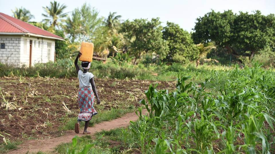 A woman fetching water in a rural area.  (Source: alkags on Pixabay)