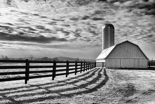 Farm, to table, to blockchain
(Source: MichaelVines via Pixabay)
