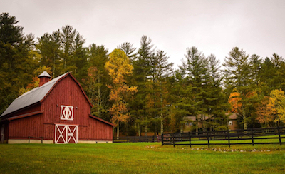If the merger is okayed, the new T-Mobile could offer fixed mobile to rural homes, said Sprint's  Saw. (Source: Frances Gunn Unsplash)