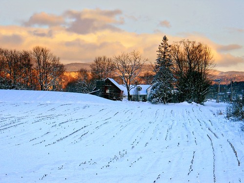 Vermont law prevents taxpayer subsidies of broadband infrastructure or services, one reason so many residents in the rural state lack fiber-based Internet. 
