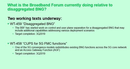 It's early days yet, but the Broadband Forum workgroup is considering whether one of two protocols is right for disaggregated BNG. (Source: David Sinicrope, Broadband Forum)