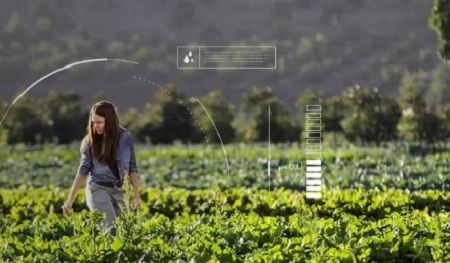 The Microsoft Airband Initiative is one route to resolving the digital divide, the developer says.  (Source: Microsoft)