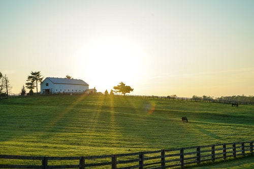 Rural areas in multiple states, including Kentucky, will soon see higher broadband speeds, opening up their homes and businesses to new operator services like managed WiFi; managed security; and cloud-based, IoT-focused offerings of today and tomorrow. 
 (Source: Photo by Brandon Randolph, Pexels)